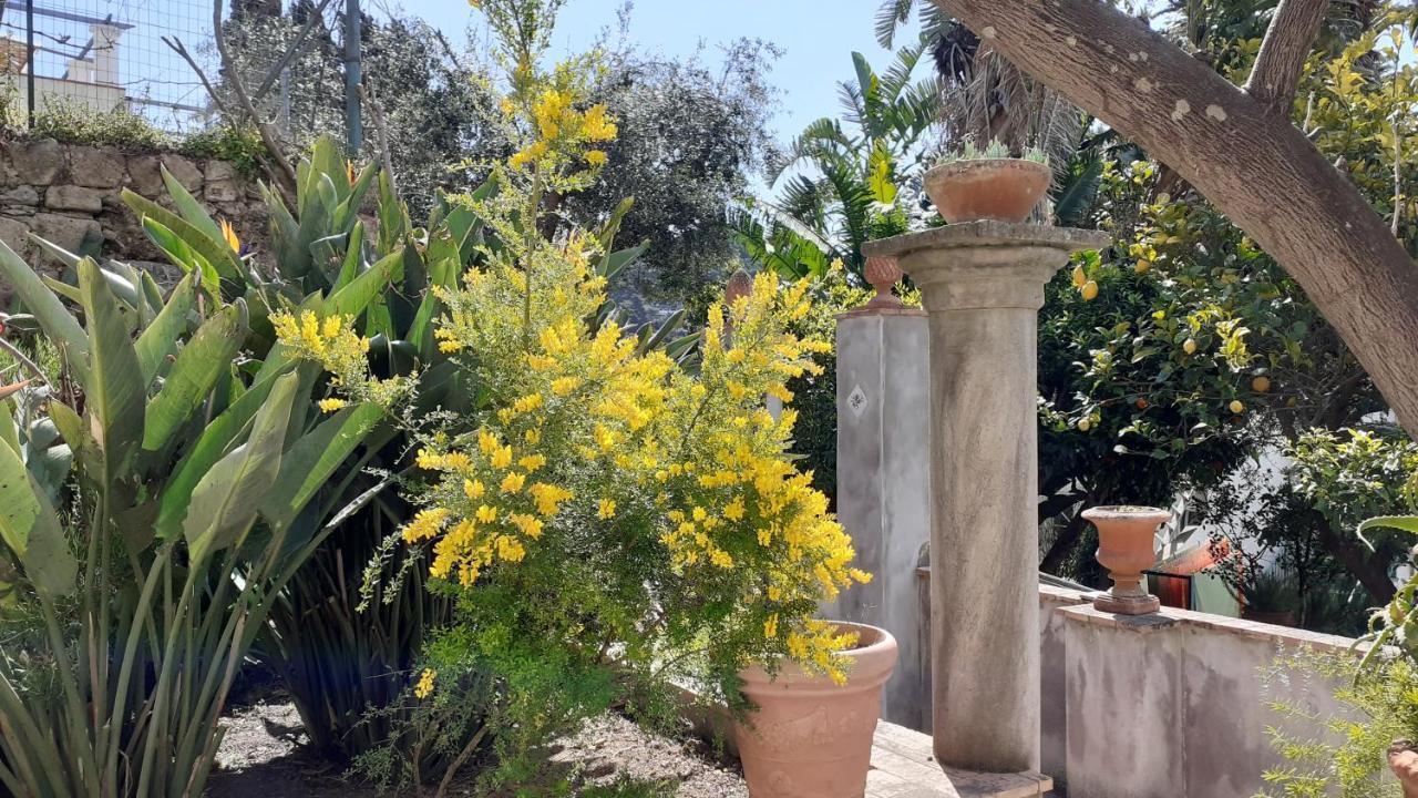 Villa Dorothee كابري المظهر الخارجي الصورة
