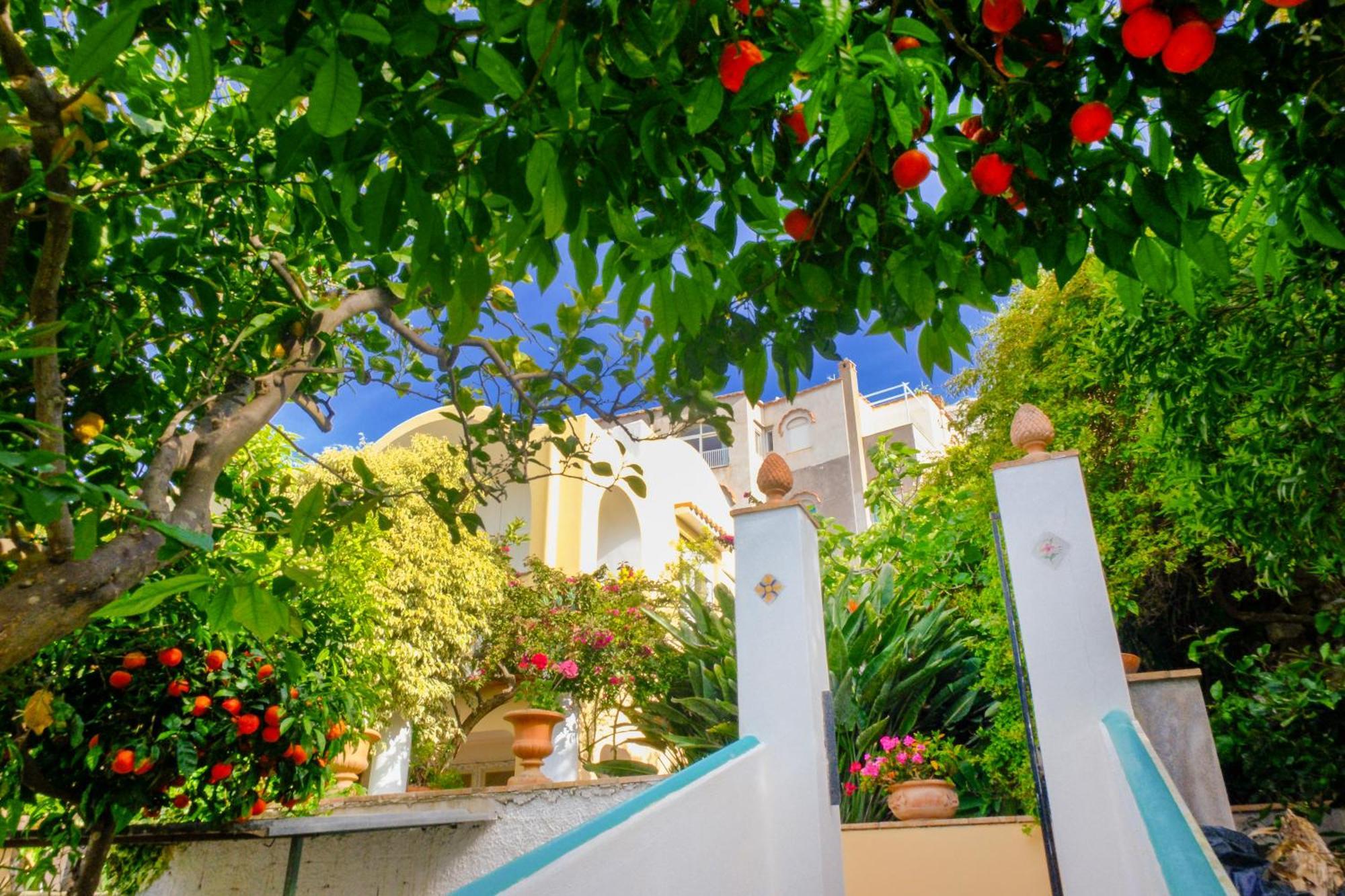 Villa Dorothee كابري المظهر الخارجي الصورة