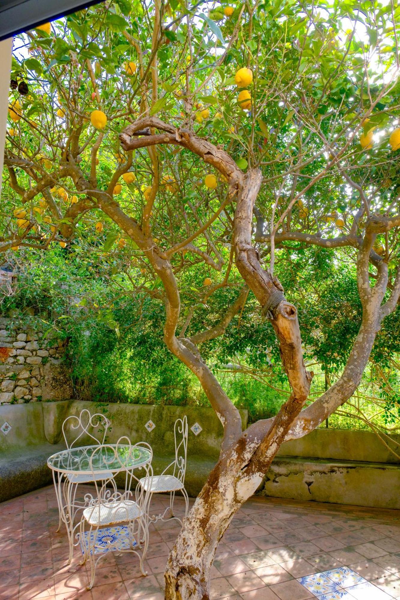 Villa Dorothee كابري المظهر الخارجي الصورة