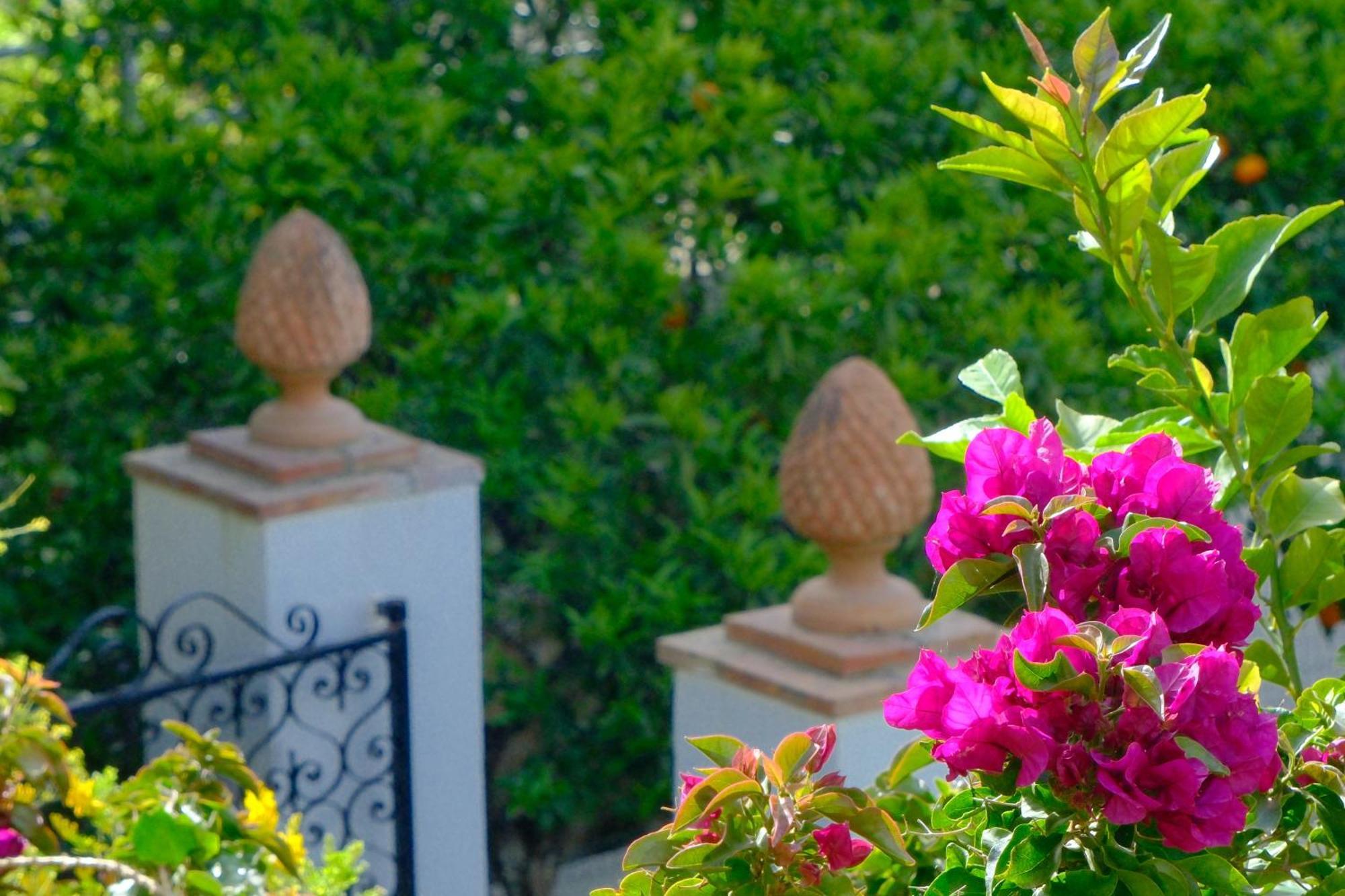 Villa Dorothee كابري المظهر الخارجي الصورة